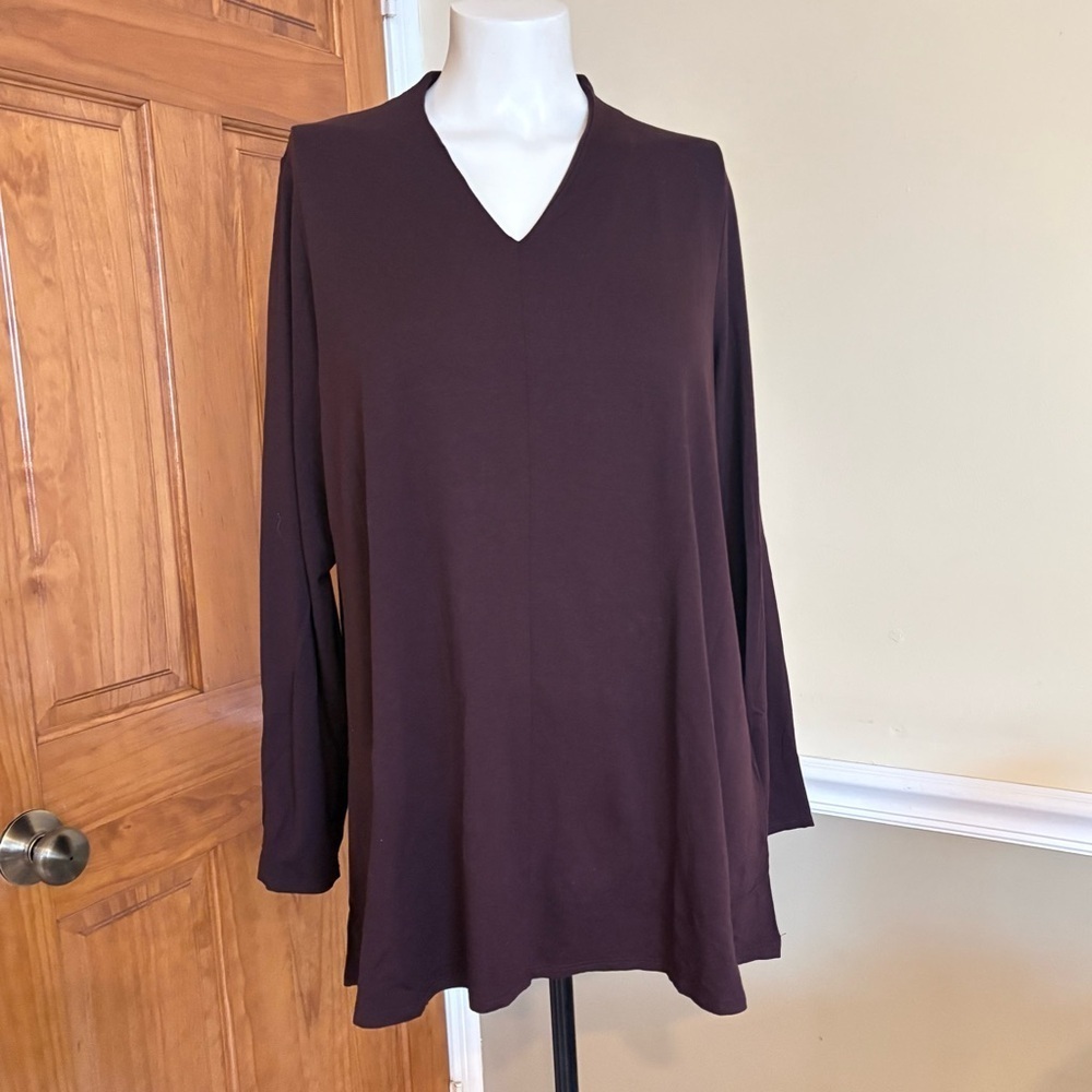 Eileen FisherV-Neck Brown Long Sleeve Soft Material Tunic